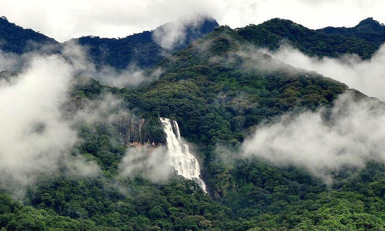 udzungwa-national-park, tanzania safari destinations